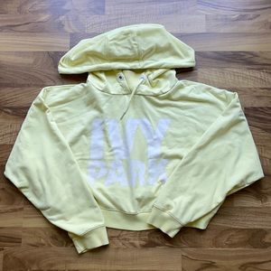 Ivy park hoodie